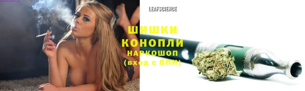 дмт Бронницы