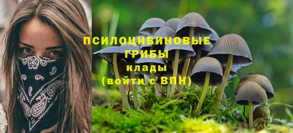 дмт Бронницы