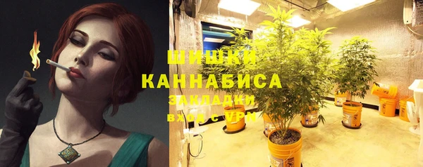 молекула духа Бугульма